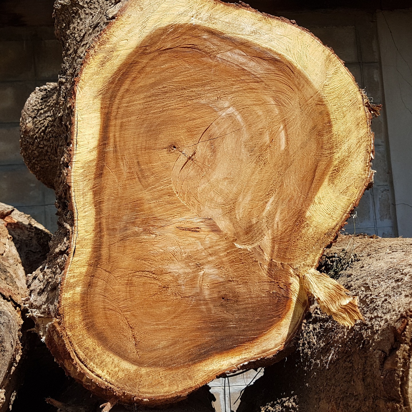 🌳 We only use Premium Acacia Heartwood for our Wild Wood Boards - NO warping, NO cracking. Long Life.
https://www.wildwood.com.au/

#acaciawood
#choppingboard
#wildwood