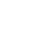 Check Icon